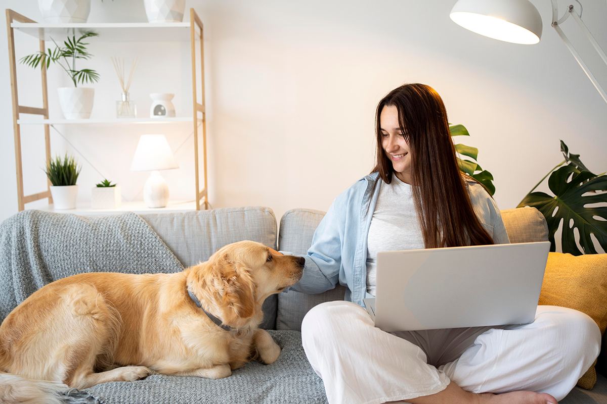 Ecommerce para Pet Shop: dicas para se destacar e aumentar as vendas